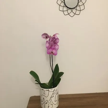 Siracusa Vacanze Holiday home